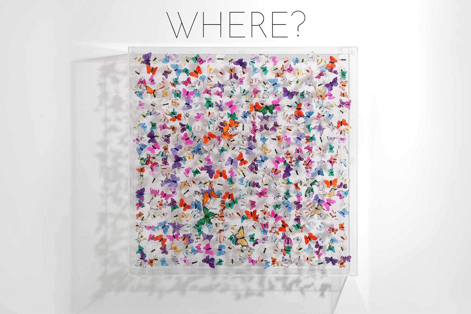 where to buy butterfly art