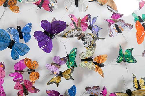 Close up detail of Butterfly Art